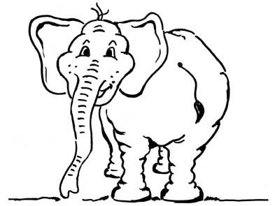 proktologiepraxis-frankfurt-elefant