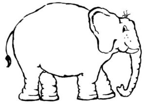 Unser Proktologie Praxis Frankfurt Elefant