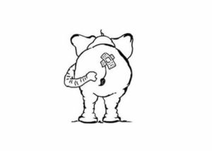 proktologiepraxis-frankfurt-Elefant