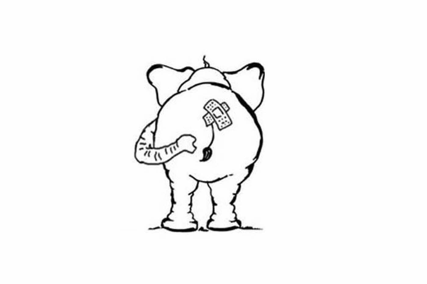 proktologiepraxis-frankfurt-Elefant